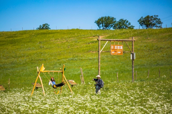 赤峰市昂貴消費場所電話號碼-第1張圖片