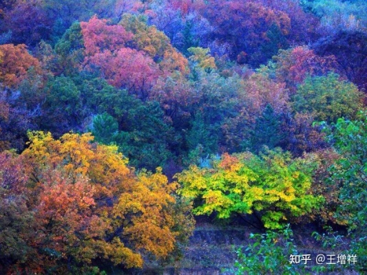 赤峰去紅山水庫(kù)客車電話號(hào)碼-第1張圖片