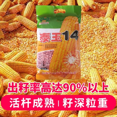 赤峰玉米種子價(jià)格電話查詢-第1張圖片