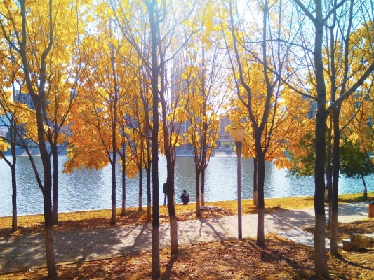 赤峰陽光花園幼兒園電話號碼-第1張圖片