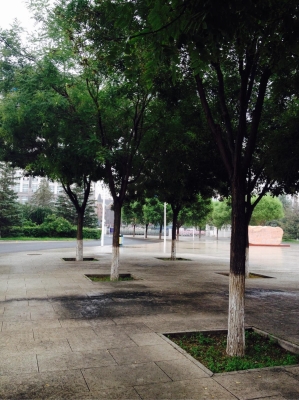 赤峰二中熱線電話號碼-第1張圖片