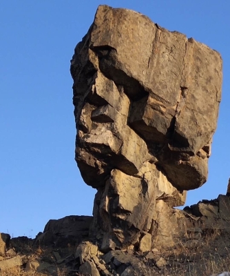 赤峰賣生牛頭的地方電話號(hào)碼-第1張圖片