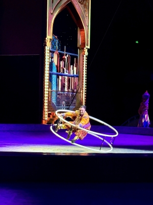 赤峰馬戲團擾民投訴電話是多少-第1張圖片