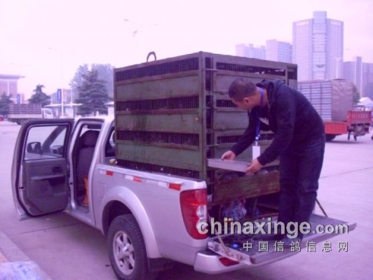 赤峰集火工作室電話號碼-第1張圖片