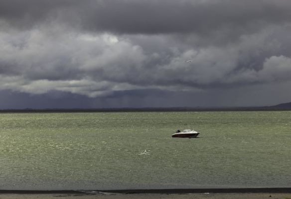 赤峰橋北速凍水產(chǎn)店電話號(hào)碼-第1張圖片