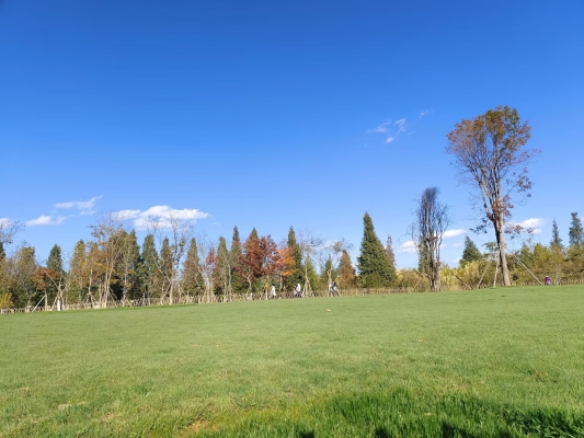 赤峰紅山區(qū)野餐地點電話號碼-第1張圖片