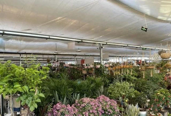 赤峰賣花盆推薦店家電話號(hào)碼-第1張圖片