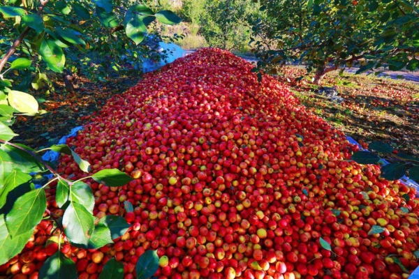 赤峰林西螢石選廠電話號(hào)碼-第1張圖片