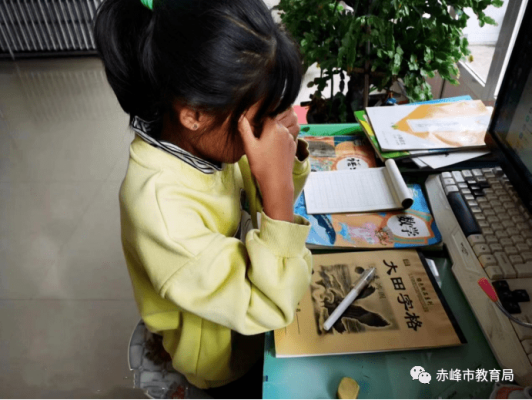 赤峰弘亞小學(xué)招生電話查詢號(hào)碼-第1張圖片