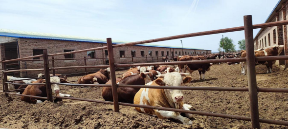 赤峰市喀喇沁旗貨運(yùn)部電話號碼-第1張圖片