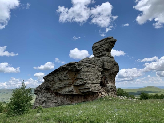 赤峰畫(huà)報(bào)2020-第1張圖片