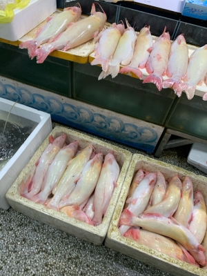 赤峰肉聯(lián)廠電話號碼-第1張圖片