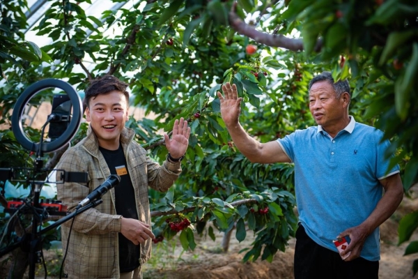 赤峰新聞記者電話號碼是多少-第1張圖片