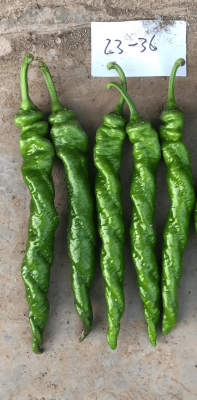 寶祿水暖赤峰銷售電話地址查詢-第1張圖片