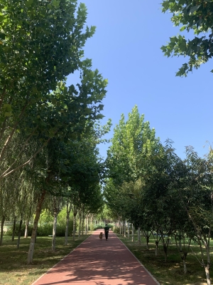 赤峰松山區(qū)遛狗地點(diǎn)電話號碼-第1張圖片