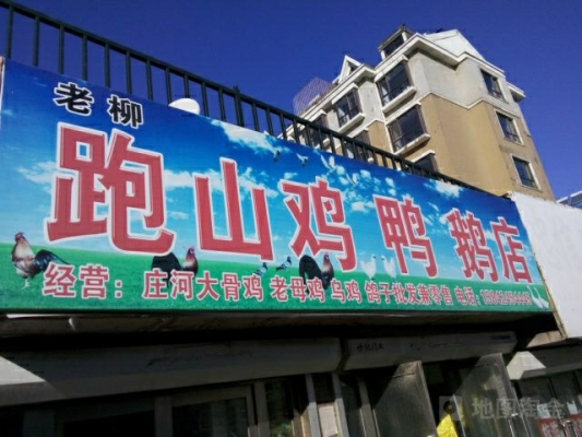 赤峰活雞鴨鵝批發(fā)電話號(hào)碼-第1張圖片