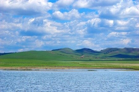 赤峰市新月王朝社區(qū)電話號碼-第1張圖片