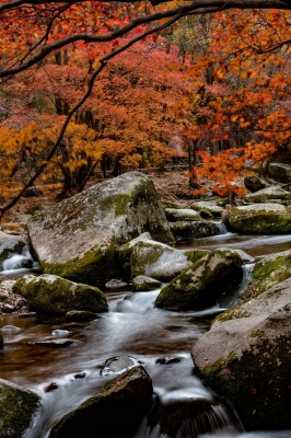 赤峰老八水果店電話號碼-第1張圖片