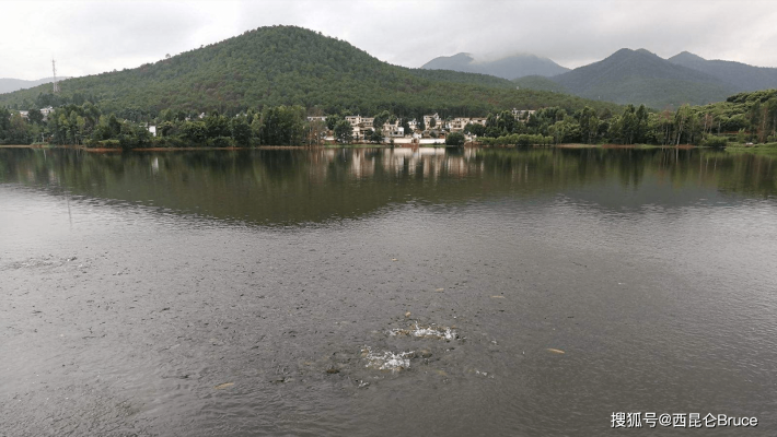 赤峰哪里有魚群賣呀電話號-第1張圖片