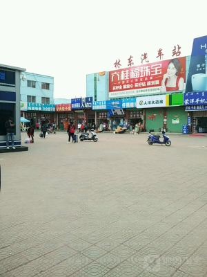 赤峰市林東醫(yī)保局電話是多少號-第1張圖片