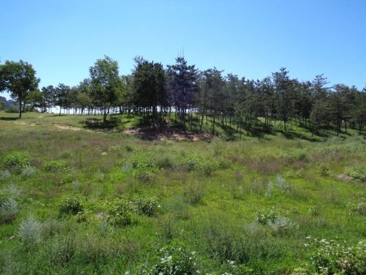赤峰橋北石峰物流電話號碼-第1張圖片