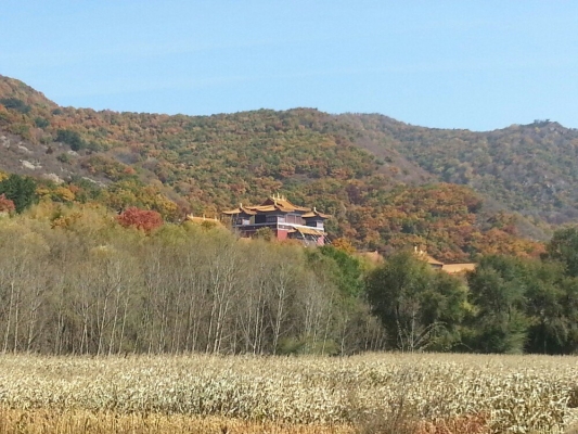 赤峰市韭菜樓地址電話號(hào)碼-第1張圖片