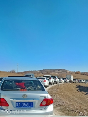 赤峰烤全羊屠宰場地址電話號碼-第1張圖片