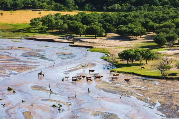 赤峰山水坡紅日超市電話號碼-第1張圖片