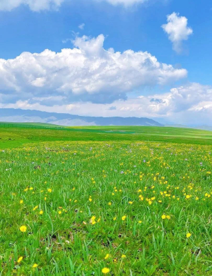 赤峰神韻畫室電話多少號碼-第1張圖片