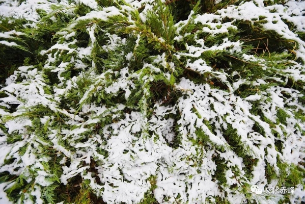 赤峰雪花噴霧廠電話號(hào)碼查詢-第1張圖片