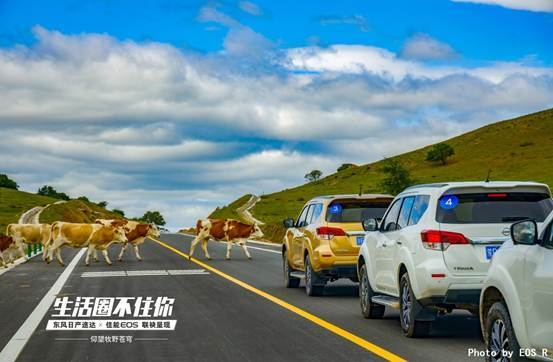 赤峰途達(dá)車隊電話號碼查詢-第1張圖片