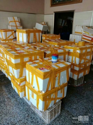 赤峰青蝦批發(fā)電話號碼查詢-第1張圖片