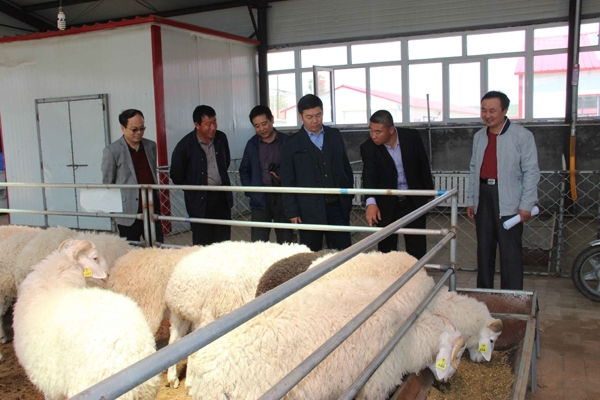 赤峰格致大藥房電話-第1張圖片