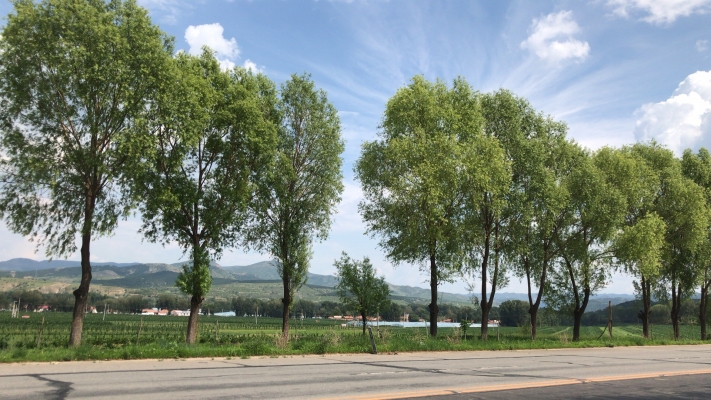 赤峰旗禹德堂醫(yī)院電話號碼-第1張圖片