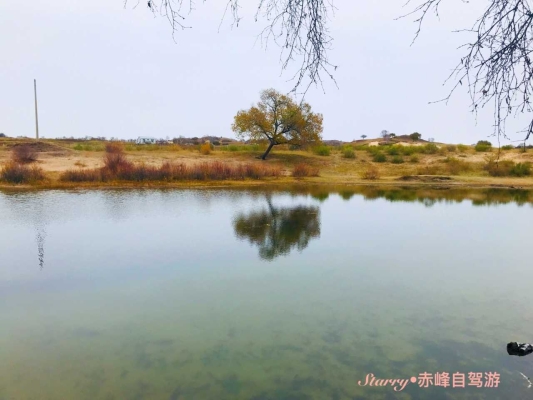 赤峰烏蘭布統(tǒng)飯店地址電話號(hào)碼-第1張圖片