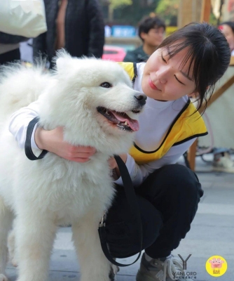 赤峰萌寵動(dòng)物醫(yī)院電話號(hào)碼-第1張圖片