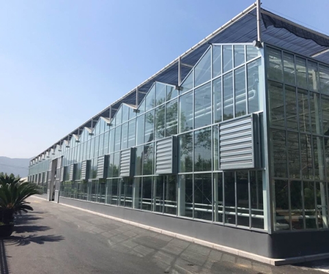 赤峰市玻璃溫室租賃電話號碼-第1張圖片