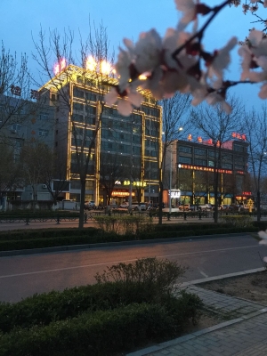 赤峰鋼鐵街面館電話(huà)號(hào)碼查詢(xún)-第1張圖片