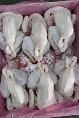 赤峰市敖漢旗水產(chǎn)店電話號碼-第1張圖片