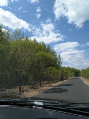 赤峰寧城縣火化場電話號碼-第1張圖片