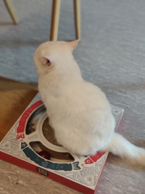 赤峰萬達動物館電話號碼-第1張圖片