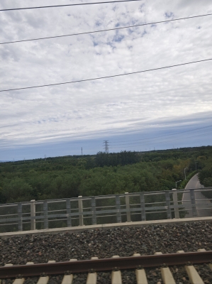 赤峰老陸熟食店電話(huà)號(hào)碼-第1張圖片