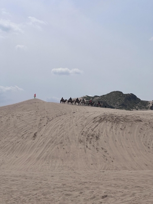 赤峰海明工作室電話號(hào)碼-第1張圖片