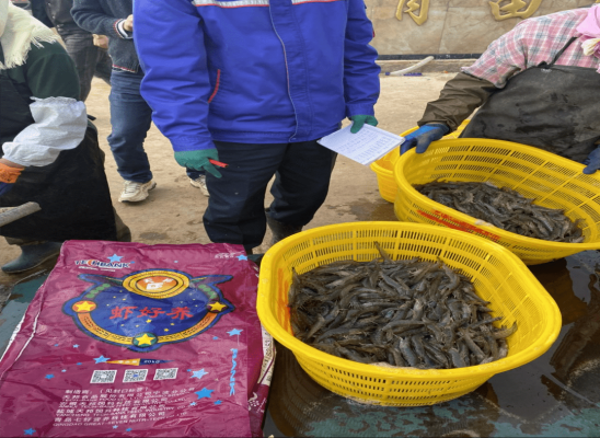 赤峰小棚蝦料廠家電話號(hào)碼-第1張圖片