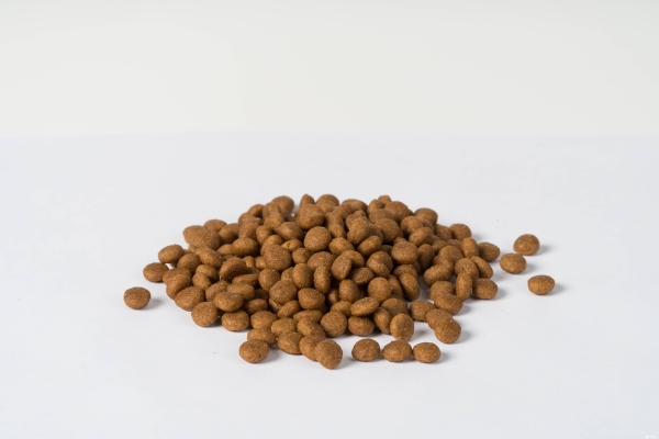 內(nèi)蒙赤峰狗糧批發(fā)電話號(hào)碼-第1張圖片