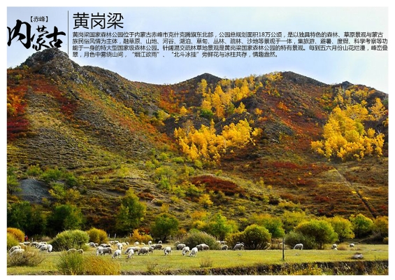 赤峰同城送煙電話號碼查詢-第1張圖片