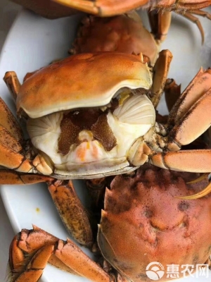 赤峰蟹都匯賣什么-第1張圖片