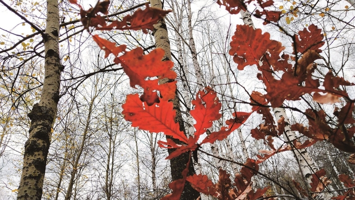 赤峰乾御興銷售處電話號碼-第1張圖片