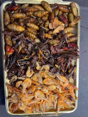 赤峰賣炸蜂蛹的店鋪電話號碼-第1張圖片