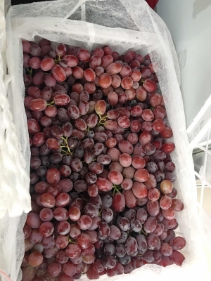 赤峰水果批發(fā)檔口老板電話號(hào)碼-第1張圖片